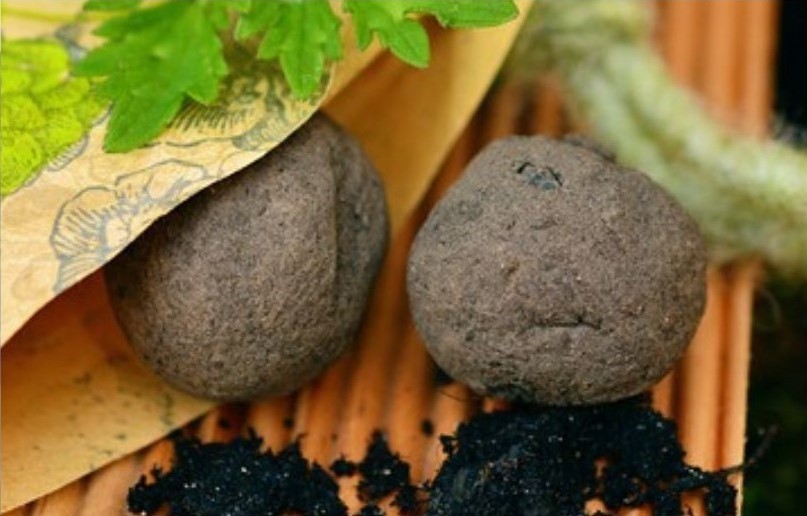 Seed bombs