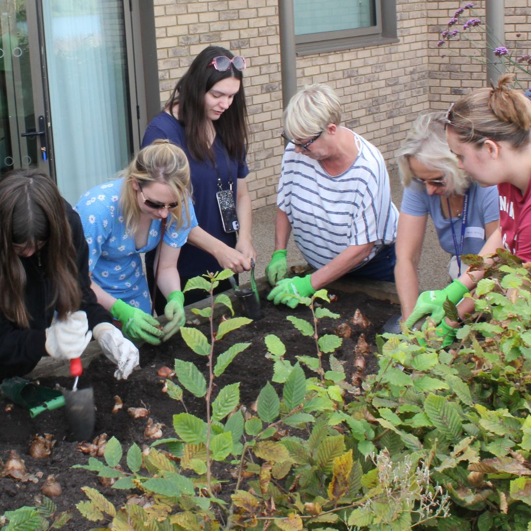 Little Green Change bulb planting event, Thames Hospice, October 2023.