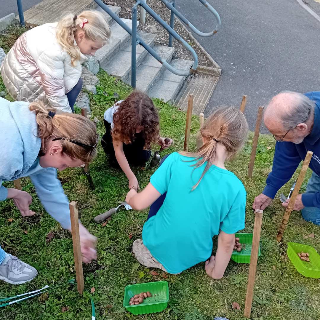 Little Green Change bulb planting event at Lyme Regis Library, October 2023