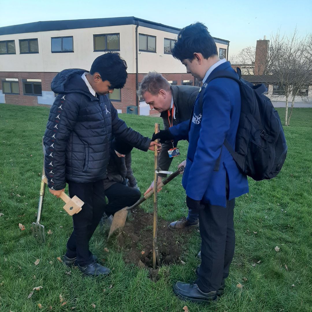 Furze Platt Senior School planting a Little Green Change plum tree, Berkshire.