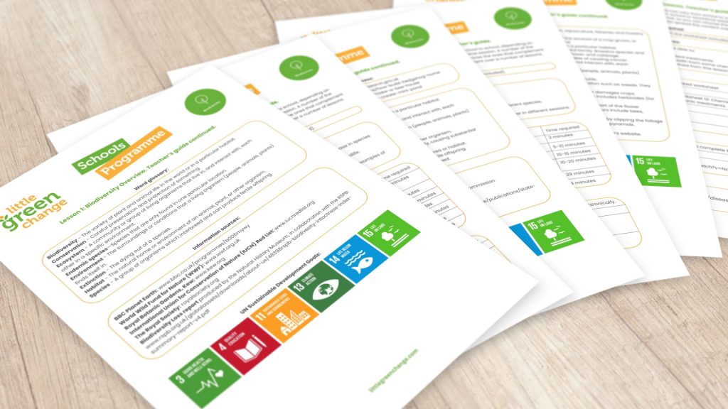 Little Green Change's Schools Programme - teacher's guide examples.
