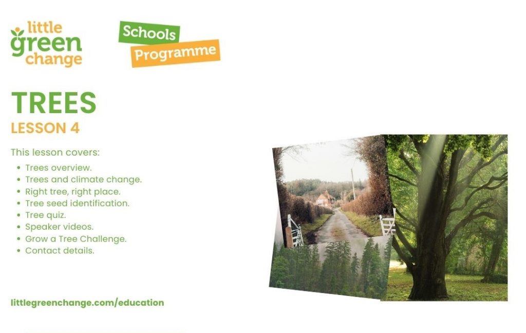 Little Green Change trees lesson