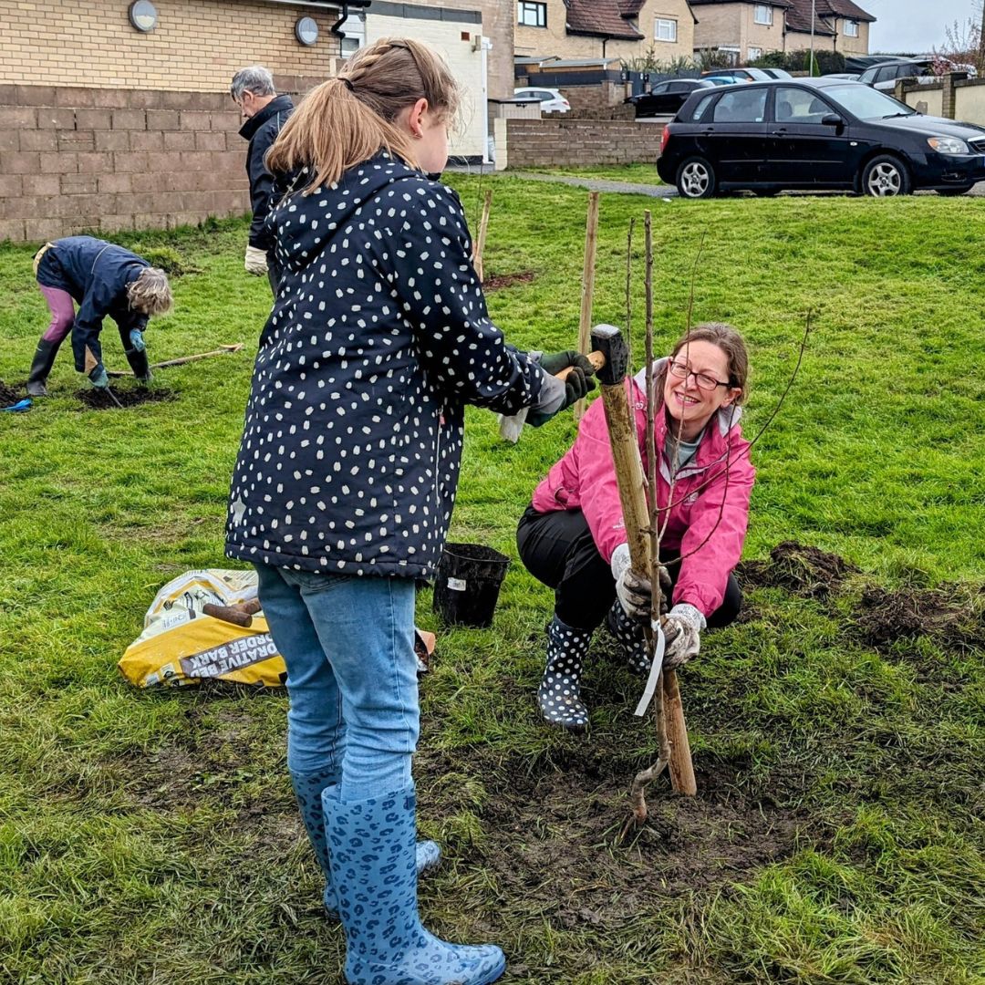 Chickerell orchard planting, 9th March 2024, tree stake