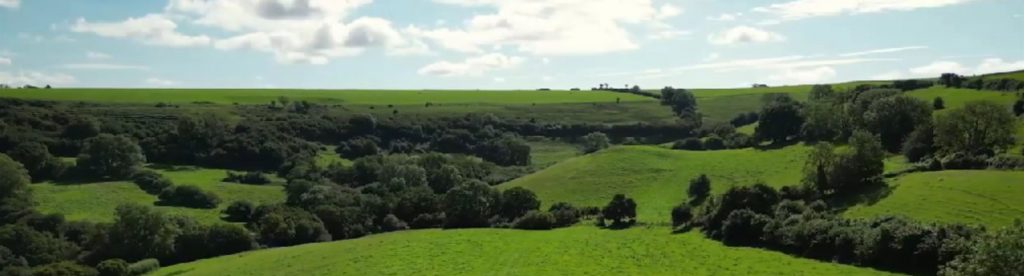 Countryside
