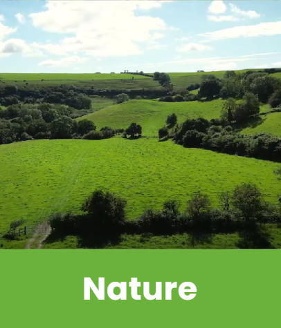 Countryside