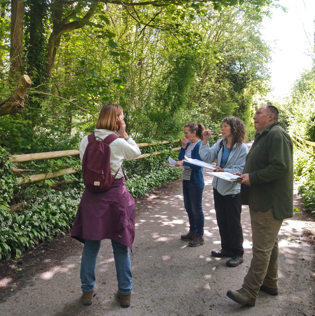 Little Green Change hedgerow surveying session, May 2024