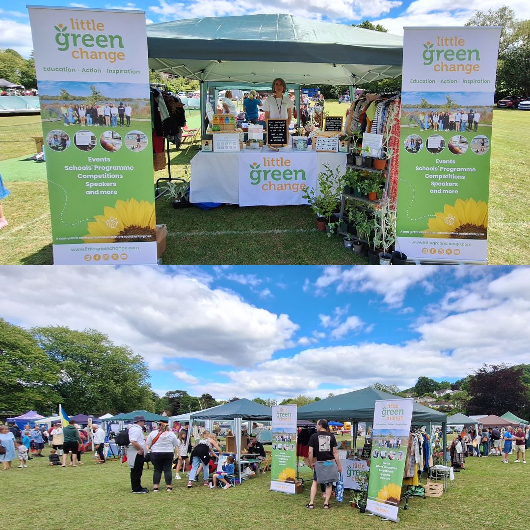 Uplyme Village Fete, Little Green Change stall, June 2024 