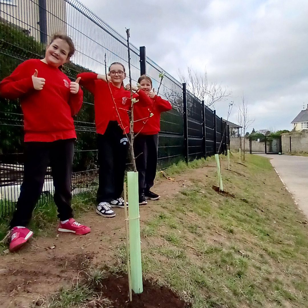 Little Green Change fruit tree planting, March 2025