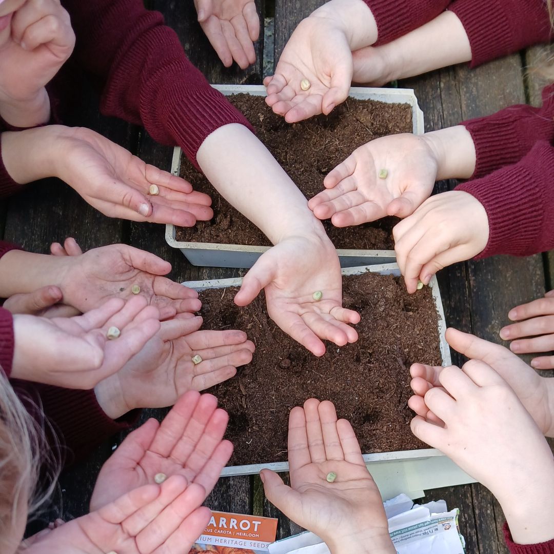 Little Green Change school seed sowing session in Devon, March 2025