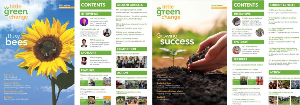 Little Green Change magazines