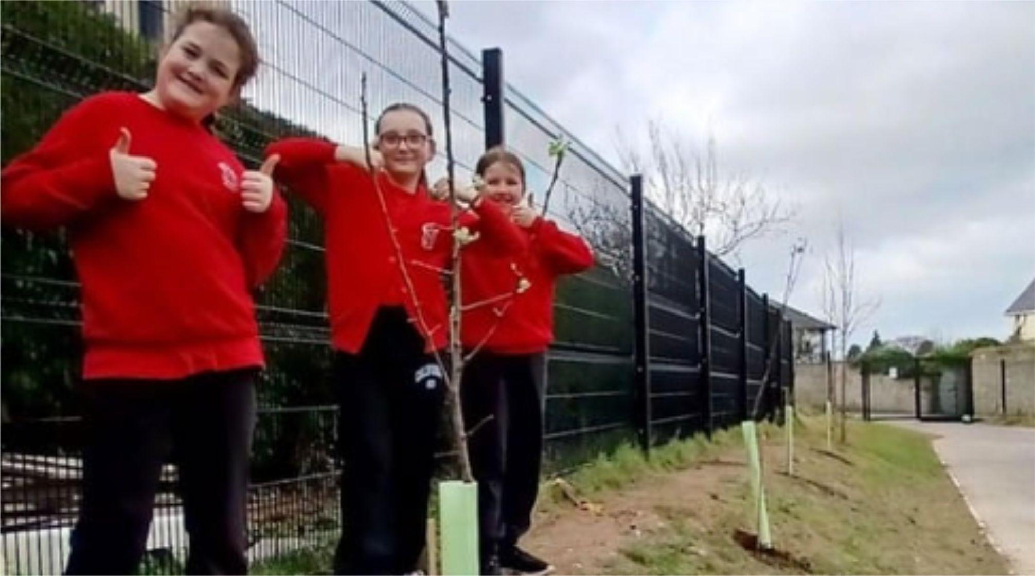 Free fruit tree planting initiative at East Devon schools